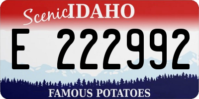 ID license plate E222992