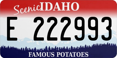 ID license plate E222993