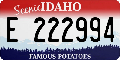 ID license plate E222994