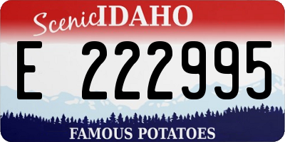 ID license plate E222995