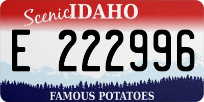 ID license plate E222996