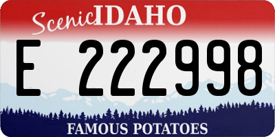 ID license plate E222998