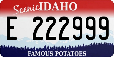 ID license plate E222999