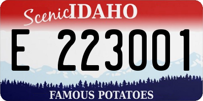 ID license plate E223001