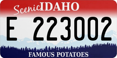 ID license plate E223002