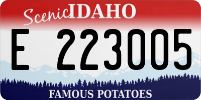 ID license plate E223005