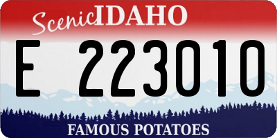 ID license plate E223010