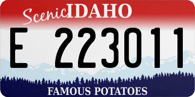 ID license plate E223011