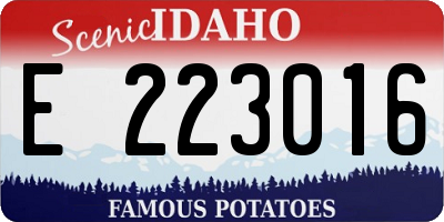 ID license plate E223016