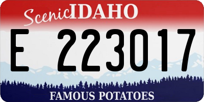 ID license plate E223017