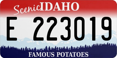 ID license plate E223019