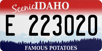ID license plate E223020