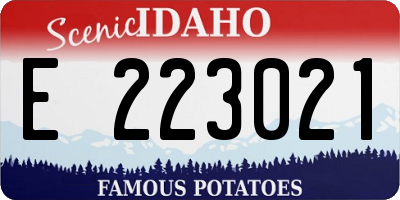 ID license plate E223021