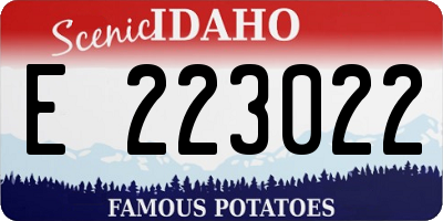 ID license plate E223022