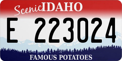 ID license plate E223024
