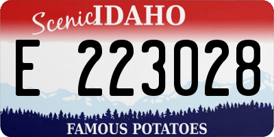 ID license plate E223028