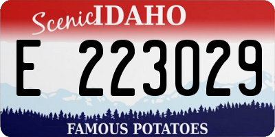 ID license plate E223029