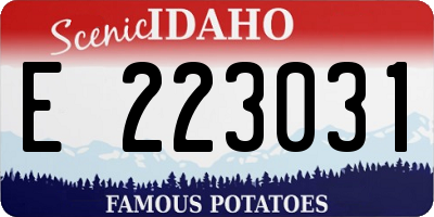 ID license plate E223031