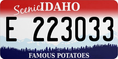 ID license plate E223033