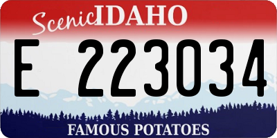 ID license plate E223034