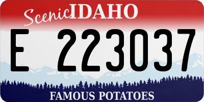 ID license plate E223037