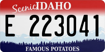 ID license plate E223041