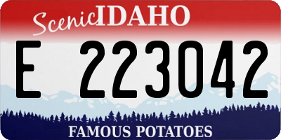 ID license plate E223042