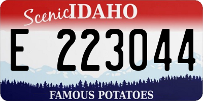 ID license plate E223044