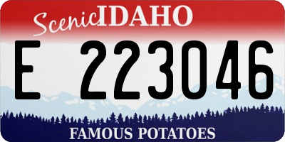 ID license plate E223046