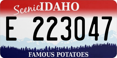 ID license plate E223047