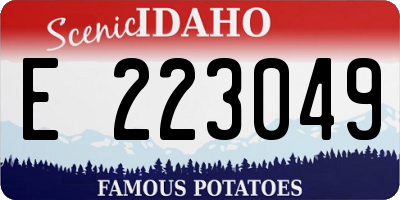 ID license plate E223049