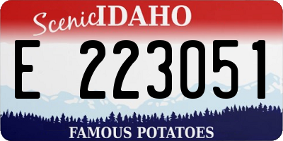 ID license plate E223051