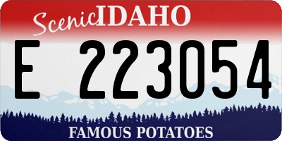 ID license plate E223054