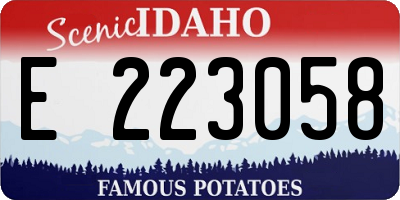 ID license plate E223058