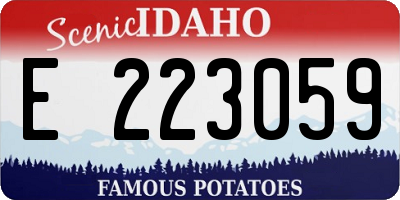 ID license plate E223059
