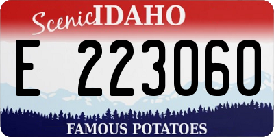 ID license plate E223060