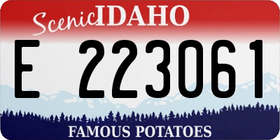 ID license plate E223061