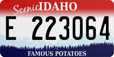 ID license plate E223064