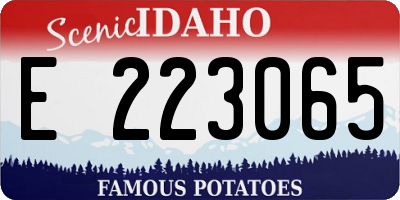 ID license plate E223065