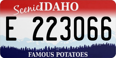 ID license plate E223066
