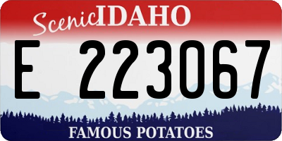 ID license plate E223067
