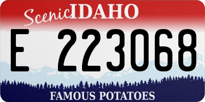 ID license plate E223068