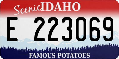 ID license plate E223069