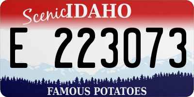 ID license plate E223073