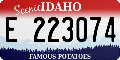ID license plate E223074