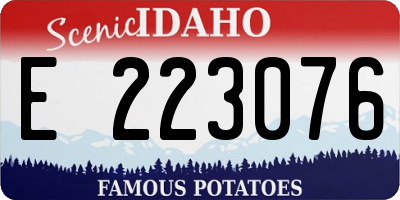 ID license plate E223076