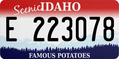 ID license plate E223078