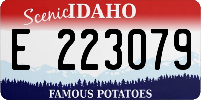 ID license plate E223079