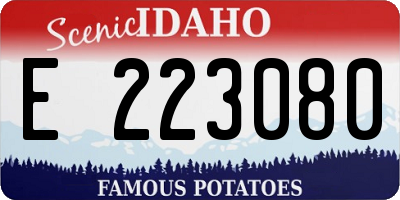 ID license plate E223080