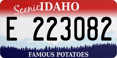 ID license plate E223082
